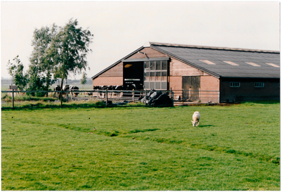 CPH_map2_108 Stallen en weiland behorende bij de stolpboerderij van de familie M. Visser aan de Oosterweg nummer M17. ...