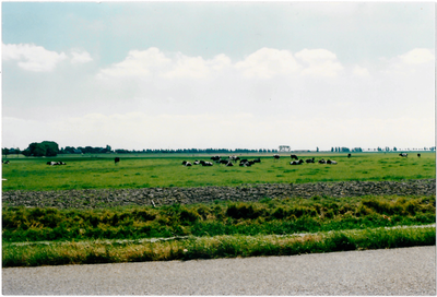 CPH_map3_030 De Purmer, weiland met koeien.(achtergrondinformatie: Piet Hetjes)