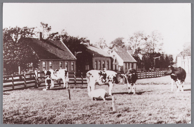 WAT002000537 Op plek van speeltuin achter de boerderij van Hermanus (Manus) Meijer (1892)