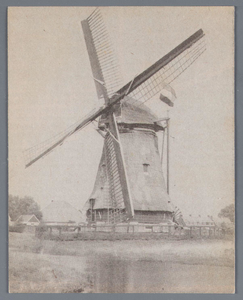 WAT002001827 Koren en pelmolen de Koker, vroeger de Zwarte Hengst.Koren en pelmolen De Koker kent een bijzondere ...