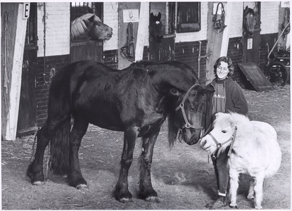 NNC-2000-02-0028 Pony Club Zuidoostbeemster, vanaf vandaag kunnen kinderen tot 15 jaar zich inschrijvenvoor ponylessen. ...