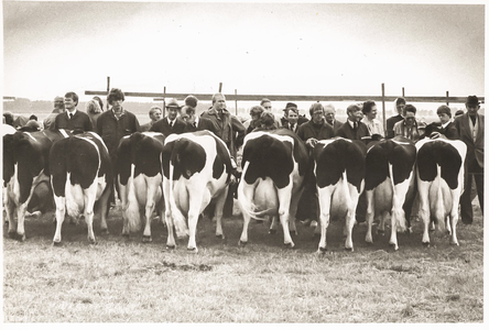 NNC-BM-0001 Keuring koeien op de fokveetentoonstelling