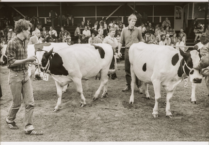 NNC-BM-0003 Veekeuring te Middenbeemster tijdens de Feestweek