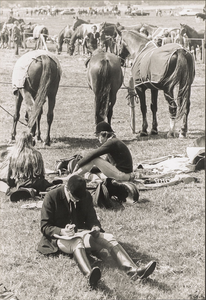 NNC-BM-0087 Paardendag