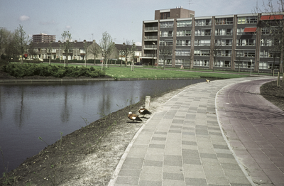 VHP003000066_0025 De Hoornselaan is een belangrijke doorgaande weg die het centrum van Purmerend vanaf de Gedempte ...