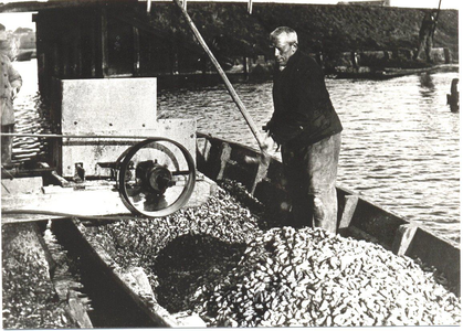 WAT006002513 Kees Kwakman, bijgenaamd 'de Schotter' zijn bedrijf.Cornelis Kwakman (De Skotter), visser, geboren op ...