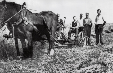 OVI-00001895 maaien met paardenkracht. jongens Kramer in het land bij de maaimachine