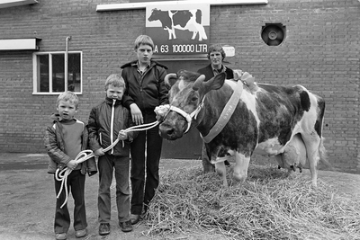 HvW-08915 De zestien jaren tellende koe Ida 63 overschreed de 100.00 kg produktie bij de heer A. Focker, met achter ...