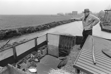 HvW_01028004 Een raadselachtige dood van lokeenden bij de heer P. Schaap. De fotois een week voor de gebeurtenis gemaakt.