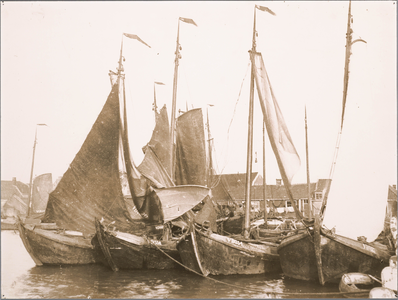 WAT001019812 Volendammer botters in de haven waaronder de VD 354, VD 0147 en VD 357