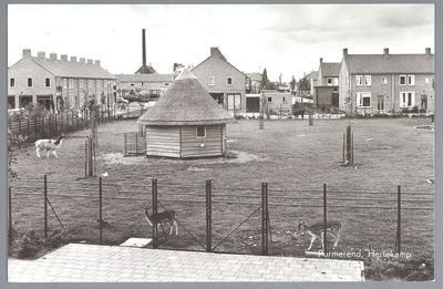WAT001012434 Hertenkamp. Met op de achtergrond de schoorsteen van de melkfabriek Hollandia.