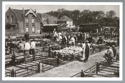 WAT001013175 Schapenmarkt aan de Koemarkt te Purmerend. Op de kop van de koemarkt verhandelde men al sinds 1612 koeien, ...