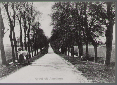 WAT001000178 Aanzicht op de Middenweg, gezien vanaf de kant van Avenhorn.Links zien we nog een dame met een paard.