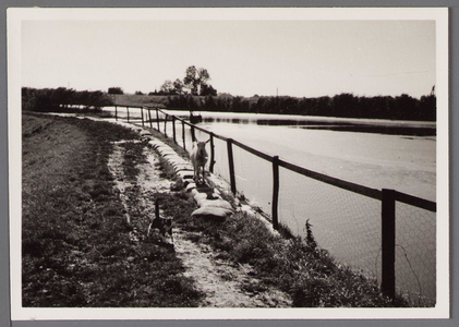 WAT001000753 Hoog water in Beets.Midden voor zien we nog een witte melkgeit.