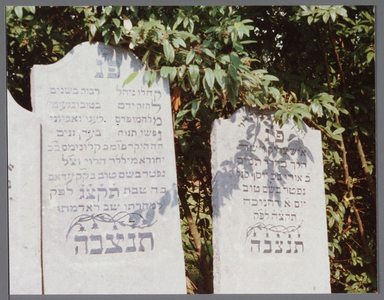 WAT001000893 Grafsteen links: Salomon Levie , overleden op 16-1-1833, begraven op het Joodse begraafplaats in Edam.Ned. ...