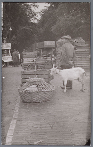 WAT001004915 De Kippenmarkt aan het Slotplein. Uit een keur van 1641 blijkt dat de pluimveemarkt achter het toenmalig ...