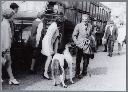 WAT001004923 Paardenmarkt te Purmerend. Op de kop van de koemarkt verhandelde men al sinds 1612 koeien, ossen, paarden, ...