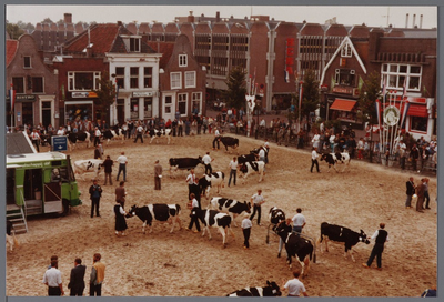 WAT001005561 Purmerend 500 jaar marktstad.Fokveedag.