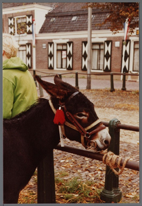 WAT001005565 Purmerend 500 jaar marktstad.Paarden-, pony- en ezeldag.