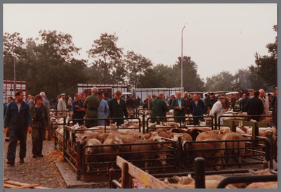 WAT001005538 Purmerend 500 jaar marktstad.Veemarkt, schapenmarkt.