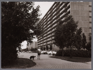 WAT001008470 Anne Franklaan, bij de Stekeldijk.