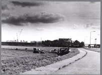 WAT001008754 Gors zichtbaar vanaf de Jaagweg.Midden achter: brugwachters woning.Met rechts de spoorbrug.