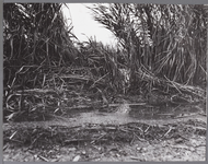 WAT001009560 Als gevolg van een zware noordwester storm brak in januari 1916 de Waterlandse Zeedijk tussen Monnickendam ...