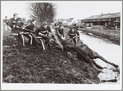 WAT001014373 Brandweer redt paard.Rechts: Prins Houthandel BV.