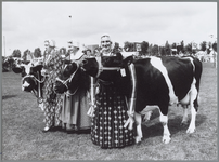 WAT001016430 Veetentoonstelling. De koeien lopen er mooi bij.