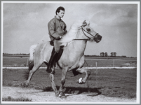 WAT001016513 IJslandse paarden. Mark Timmerman op de rug van zijn IJslandse Sigyn. „Ik ga vol goede moed naar het WK ...