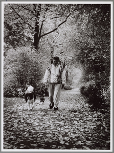 WAT001016564 Herfst impressie, lekker wandelen met de hond.