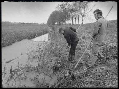 WAT003000103 Riet hakken met de hand