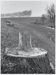 WAT003000132 Bomen rooien langs Westdijk