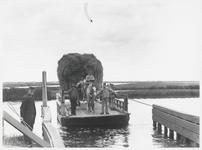 WAT003004213 Het pontje over het Noordhollandsch Kanaal.Tekst op de achterkant van de foto: Foto geschonken door meneer ...