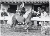 WAT003004148 Den Ilp manege. Cynthia Vlaarkamp was een van de deelnemers aan de 'Tally Ho' wedstrijd die gistermiddag ...