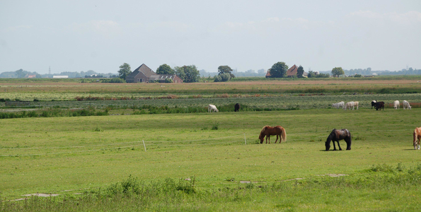 WAT120002582 De droogmakerij ‘Engewormer’ vanuit het zuiden in noordoostelijke richting gezien in juni 2010.