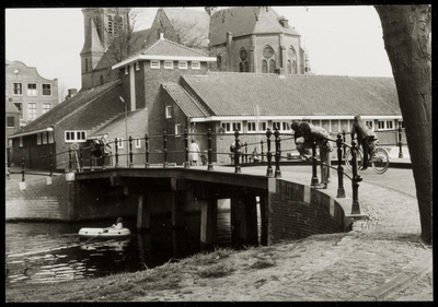 WAT050001138 De Zeepziederijbrug na de vernieuwing in 1974