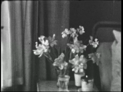 13440BB02557 Beelden van Martha Johanna Schweizer (geboren op 11-2-1946 aan de Jacob van Heemskerckstraat 23) gedurende ...