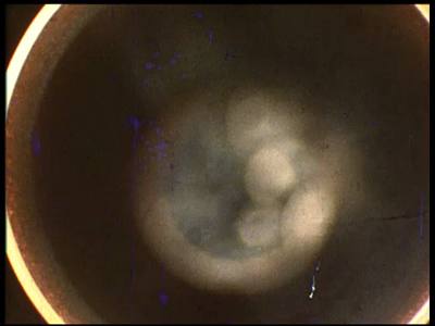 6704BB07160 Hard PVC leidingen zijn een must voor huizen , dorpen en de stad in het buitenland, een bedrijfsfilm van ...