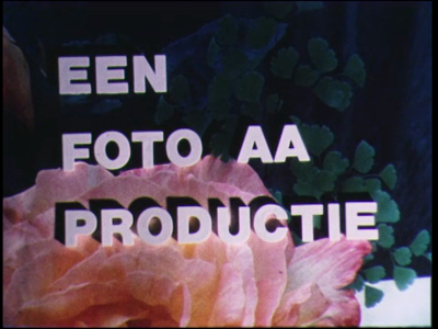 9811BB02177 Een film rond de verkiezing, gepresenteerd door Herman Emmink, van de oogstkoningin voor het Sallandse ...