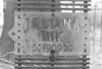 12734 Juliana eik in het Rijsterborgherpark nabij de Drakenbrug. Geplant op zaterdag 1 mei 1909., 01-01-1980