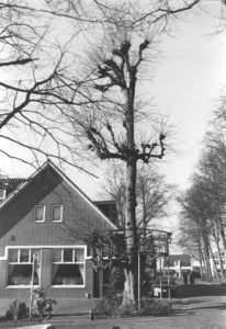 18025 De lindeboom, naast restaurant De Lindeboom ., 01-03-2001