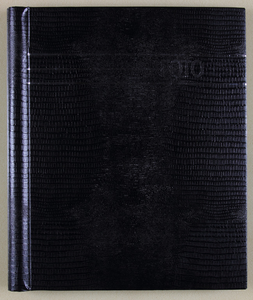 39 album kleurenfoto's zwart