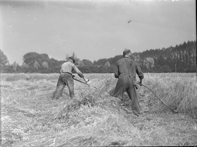 260 Arbeiders in het veld aan het hooien met een zeis. Lokatie onbekend., 01-01-1920 - 01-01-1960