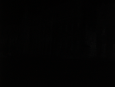 416 ? Zwart image, 01-01-1920 - 01-01-1948