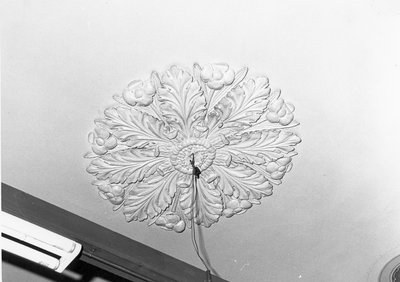 1106 Begane grond rechter achterzijde. Rozet, 01-08-1980