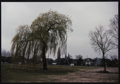 23 Rij woningen Mr. H.F. de Boerlaan 2 t/m 28. Inmiddels gesloopt. Nu staat er naast de wilg het Gedenkmonument voor ...