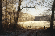 30-1-8 Een berijpt landschap