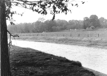 0737 Beek De Slinge met gebied 't Smees