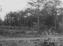 0738 Natuurgebied Ringkampsbulten